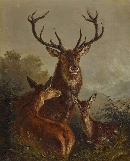 Buck on the Texas plains — A Legacy of Trust